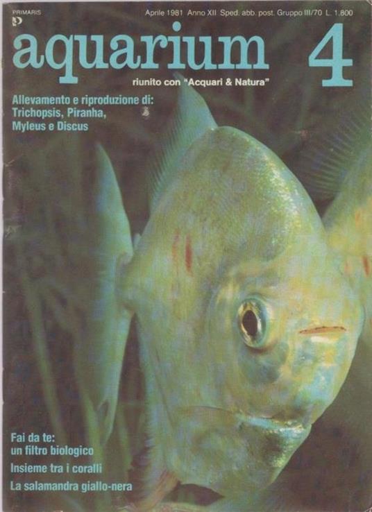 Aquarium. 1981 n 4 - copertina