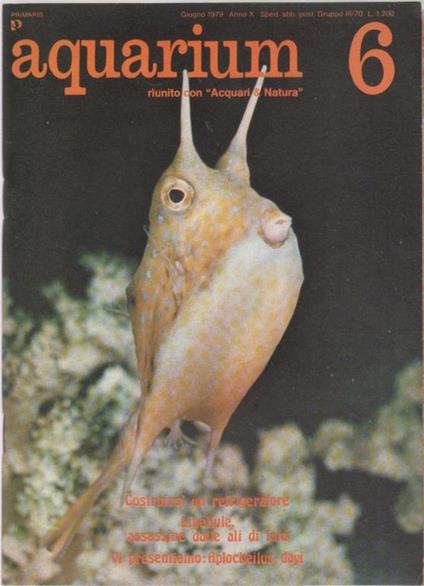 Aquarium. 1979 n 6 - copertina