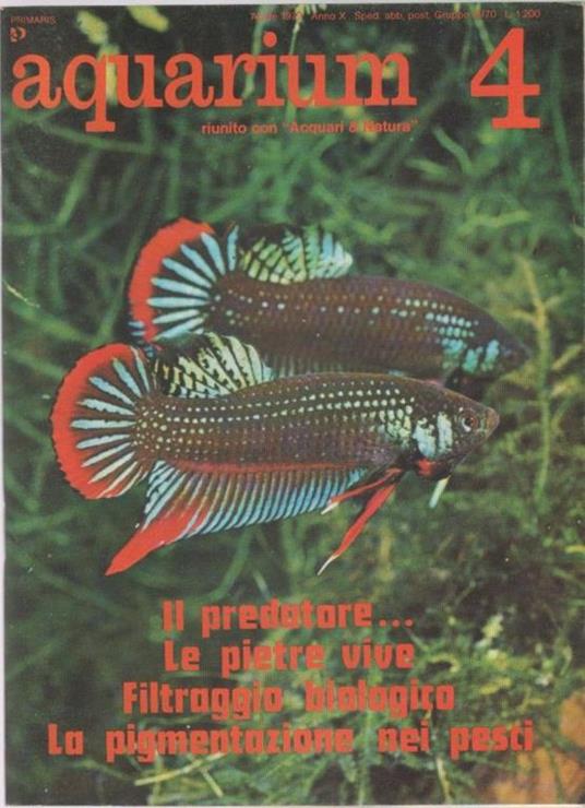 Aquarium. 1979 n 4 - copertina
