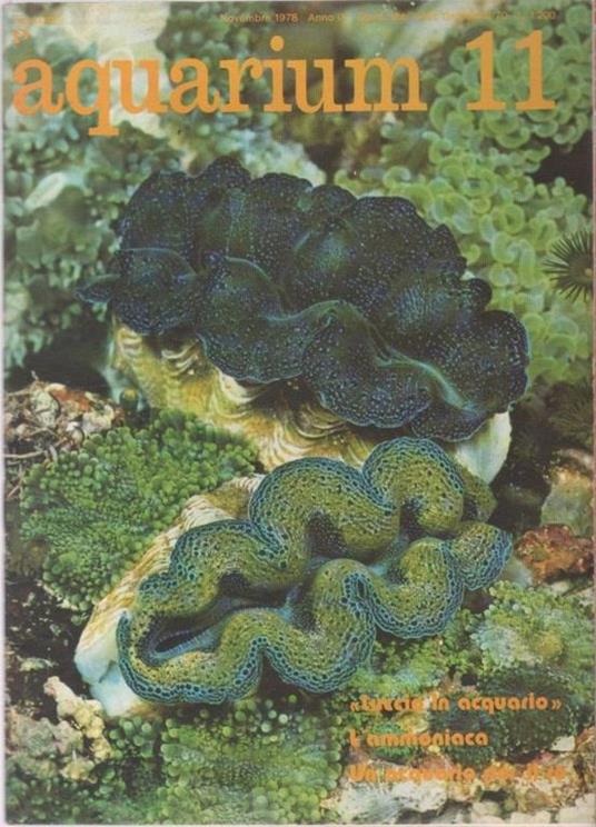 Aquarium. 1978 n 11 - copertina