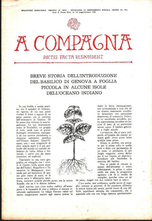 A  Compagna. Rivista. n. 4/5 luglio-ottobre 1978 - copertina
