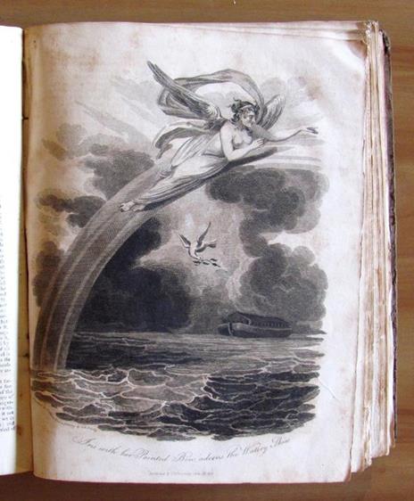 The Sacred theory of the Earth in which are set forth the Wisdom of God displayed in the works of the Creation, Salvation, and Consummation of all things, until the Destruction of the World by Fire: including the blessed Millennium, or the Reign of C - 6