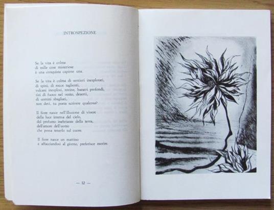 Libera Nell'Infinito Di: Feliziani Iole - 3