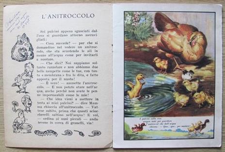 Nel Prato Nella Fattoria Nel Bosco.. - 4