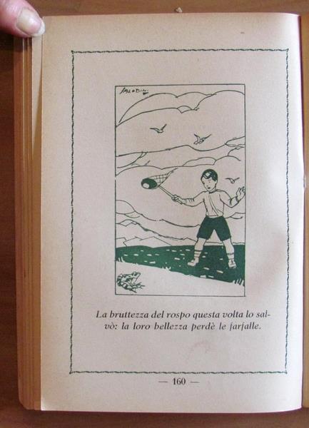 L'angolo del collezionista