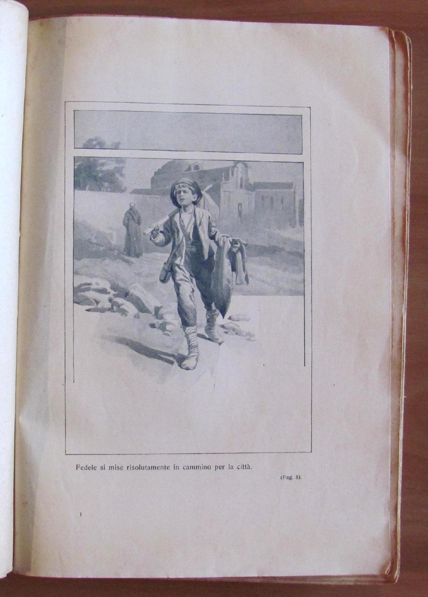 Picciotti E Garibaldini - Romanzo Storico Sulla Rivoluzione Del 1859-60. Firenze Ed. R. Bemporad & Figlio 1919