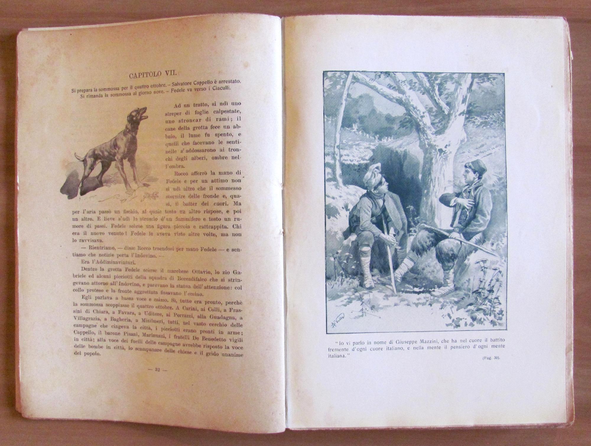 Picciotti E Garibaldini - Romanzo Storico Sulla Rivoluzione Del 1859-60. Firenze Ed. R. Bemporad & Figlio 1919