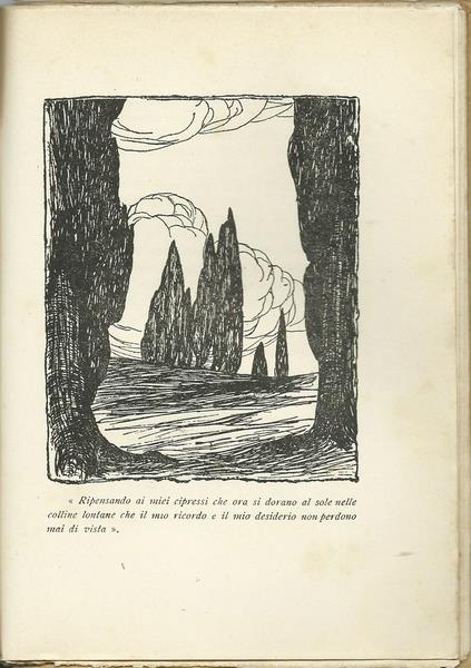 L'angolo del collezionista