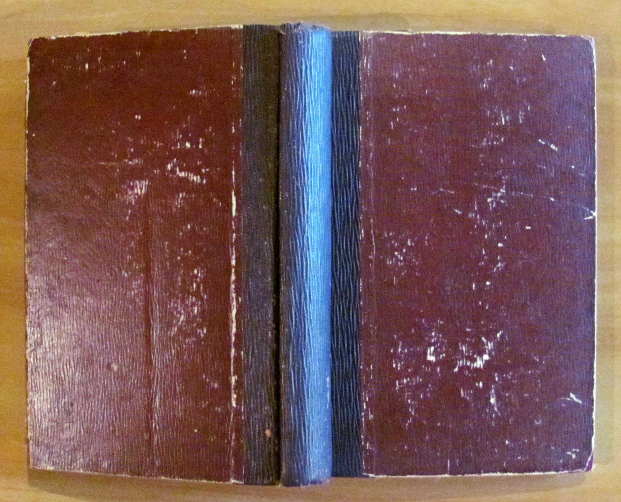 Aventures D'Un Gamin De Paris Au Pays Des Bisons