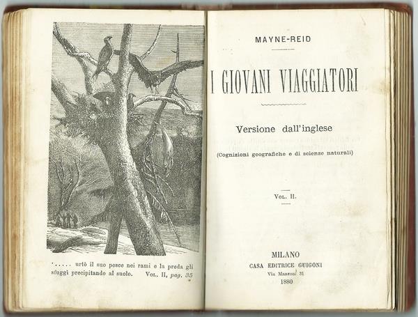 L'angolo del collezionista