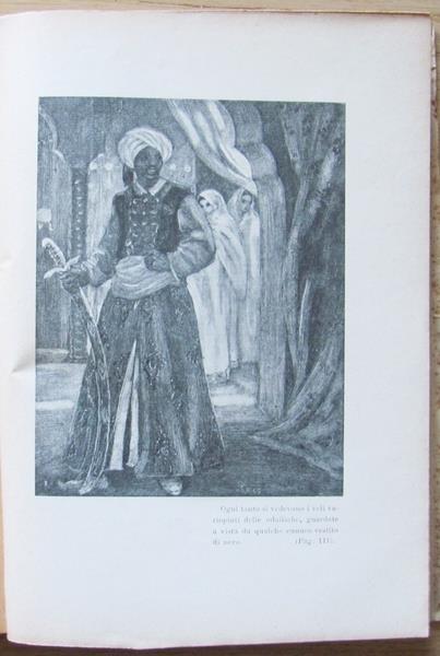 Il Delfino Di Kavak. Avventure Di Terra E Di Mare - Concetto Pettinato - 5