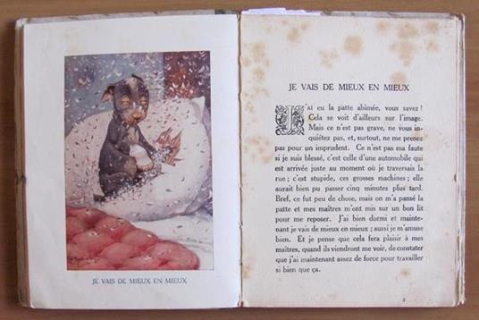 Nos Bebes Chiens Di: Ostroga Yvonne (Testi Di) - 7