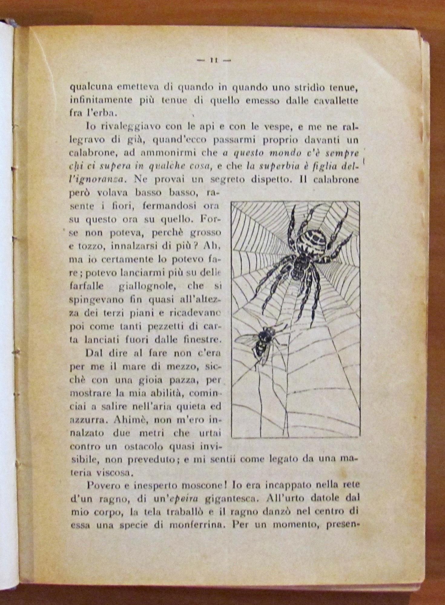 AMATEVI! - MEMORIE DI UN MOSCONE - Protofantascienza