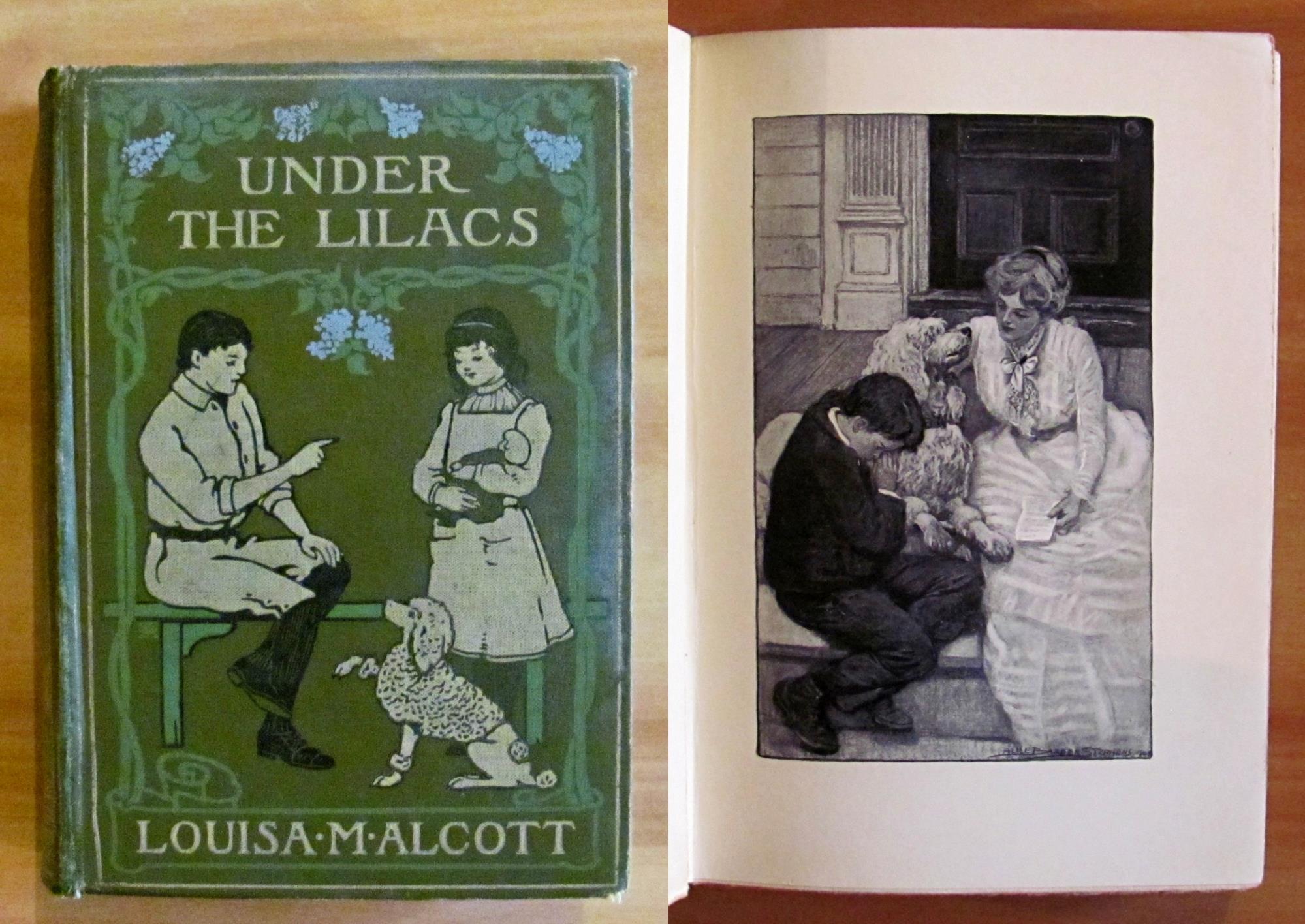 L'angolo del collezionista