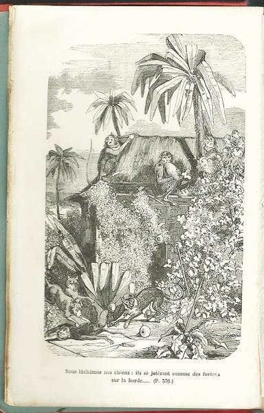 Le Robinson Suisse. Volume I E Ii. Opera Completa Di: Wyss J. David - 2