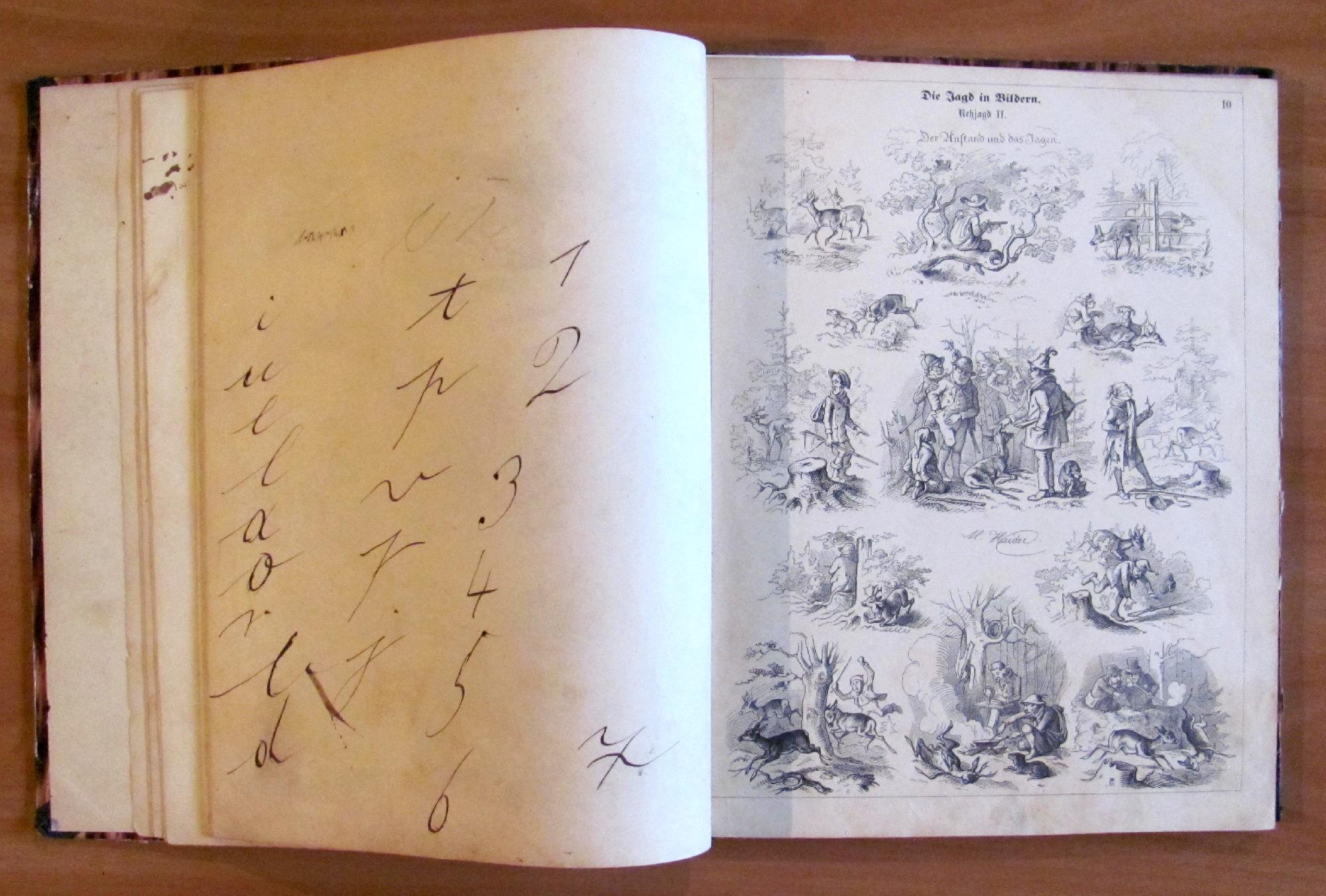 Die Jagd In Bildern - Fine '800 - Ill. Haider - La Caccia