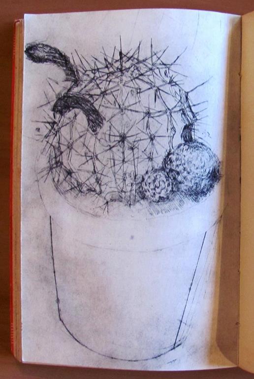 Vita Di Anna Stickler. Collana Nuova Bilioteca Italiana N.19 - Luigi Bartolini - 6