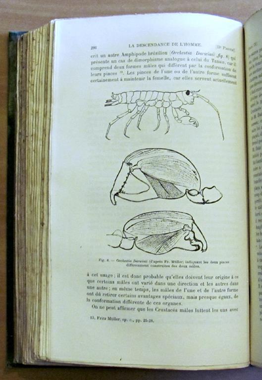 La Descendance De L'Homme Et La Selection Sexuelle -Traduit Par Edmond Barbier Dapres La Seconde Edition Anglaise Revue Et Augmentee Par L'Auteur Di: Darwin Charles, M. A., F.R.S., Etc. - 3