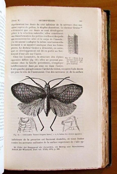 La Descendance De L'Homme Et La Selection Sexuelle -Traduit Par Edmond Barbier Dapres La Seconde Edition Anglaise Revue Et Augmentee Par L'Auteur Di: Darwin Charles, M. A., F.R.S., Etc. - 4