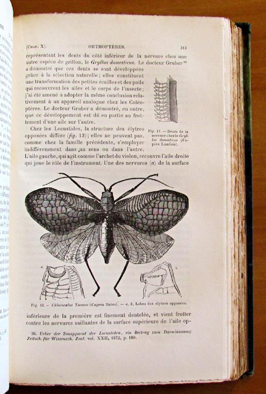 La Descendance De L'Homme Et La Selection Sexuelle -Traduit Par Edmond Barbier Dapres La Seconde Edition Anglaise Revue Et Augmentee Par L'Auteur Di: Darwin Charles, M. A., F.R.S., Etc. - 4