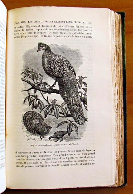 La Descendance De L'Homme Et La Selection Sexuelle -Traduit Par Edmond Barbier Dapres La Seconde Edition Anglaise Revue Et Augmentee Par L'Auteur Di: Darwin Charles, M. A., F.R.S., Etc. - 5
