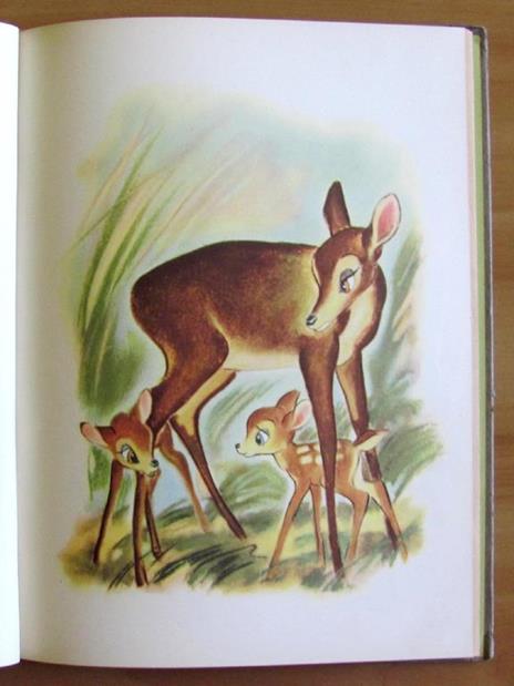 Bambi - 6