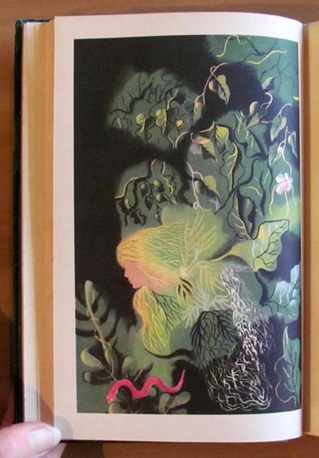 Green Mansions - A Romance Of The Tropical Forest - W. Henry Hudson - 5