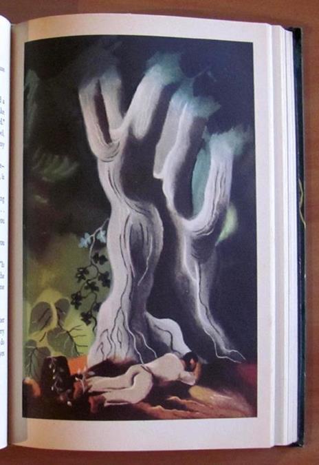 Green Mansions - A Romance Of The Tropical Forest - W. Henry Hudson - 6