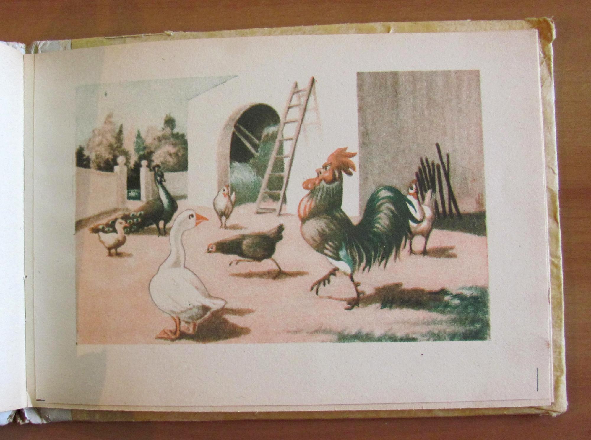 Animali Da Cortile - Collezione Animali Domestici E Selvatici, 1949