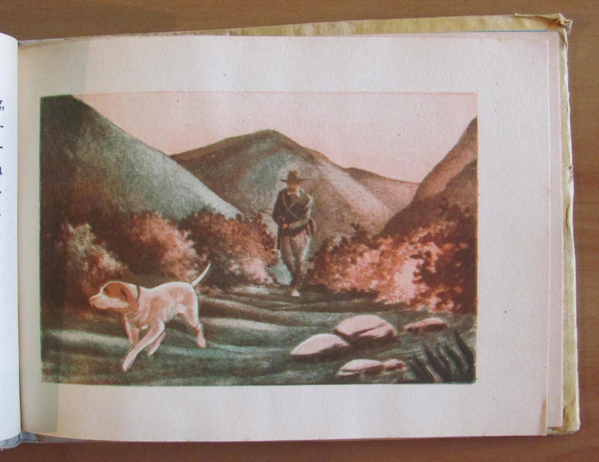 Il Cane - Collezione Animali Domestici E Selvatici, 1949