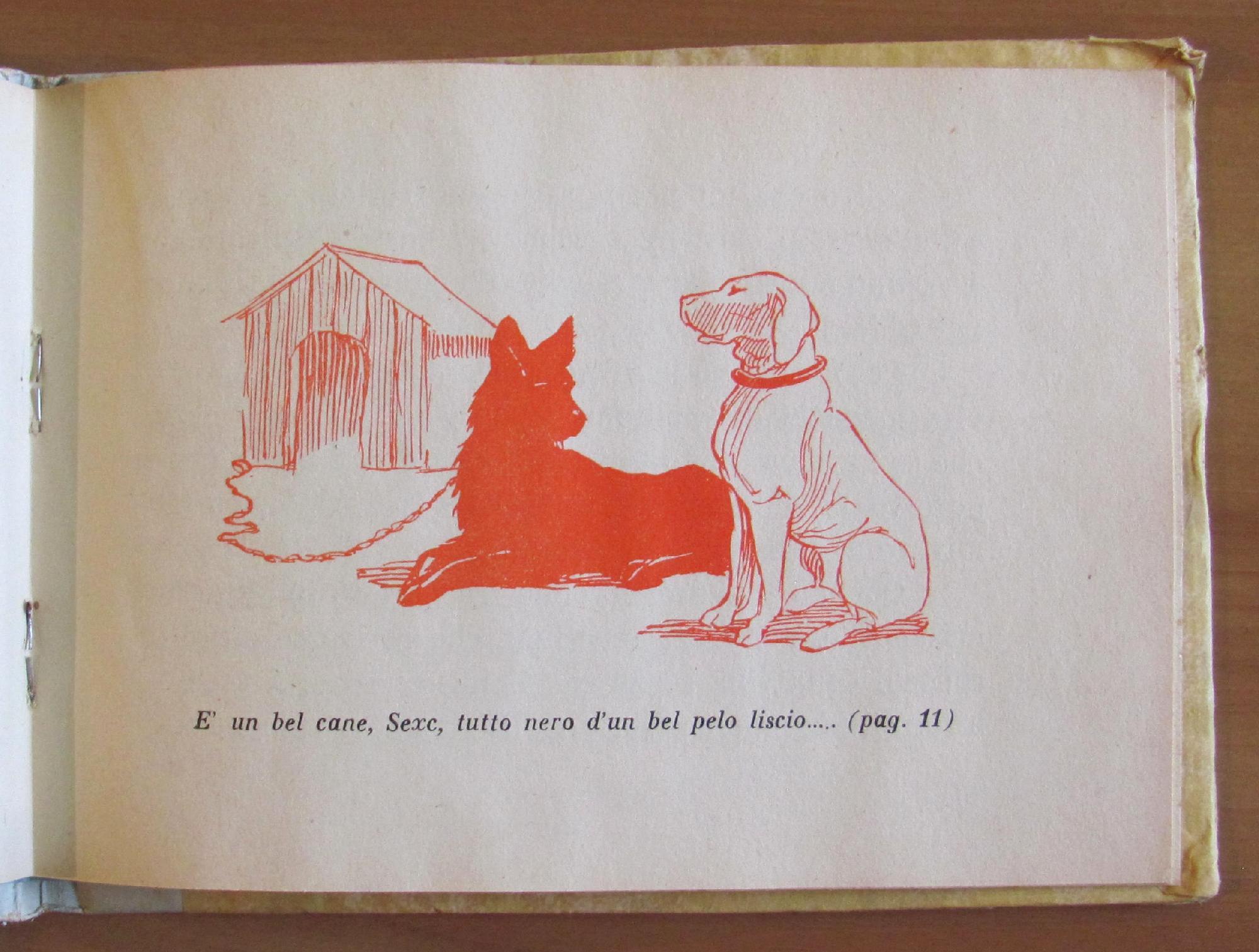 Il Cane - Collezione Animali Domestici E Selvatici, 1949