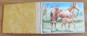 Il Cavallo - Collezione Animali Domestici E Selvatici, 1949 - A. Rajna Morelli - copertina
