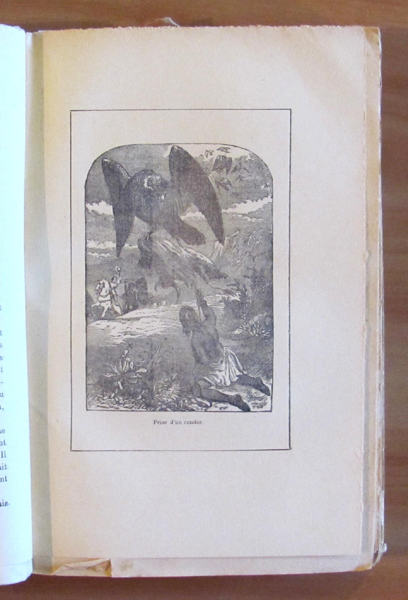 Les Exiles Dans La Foret - Aventures D'Une Famille Péruvienne Au Milieu Des Désert De L'Amazone