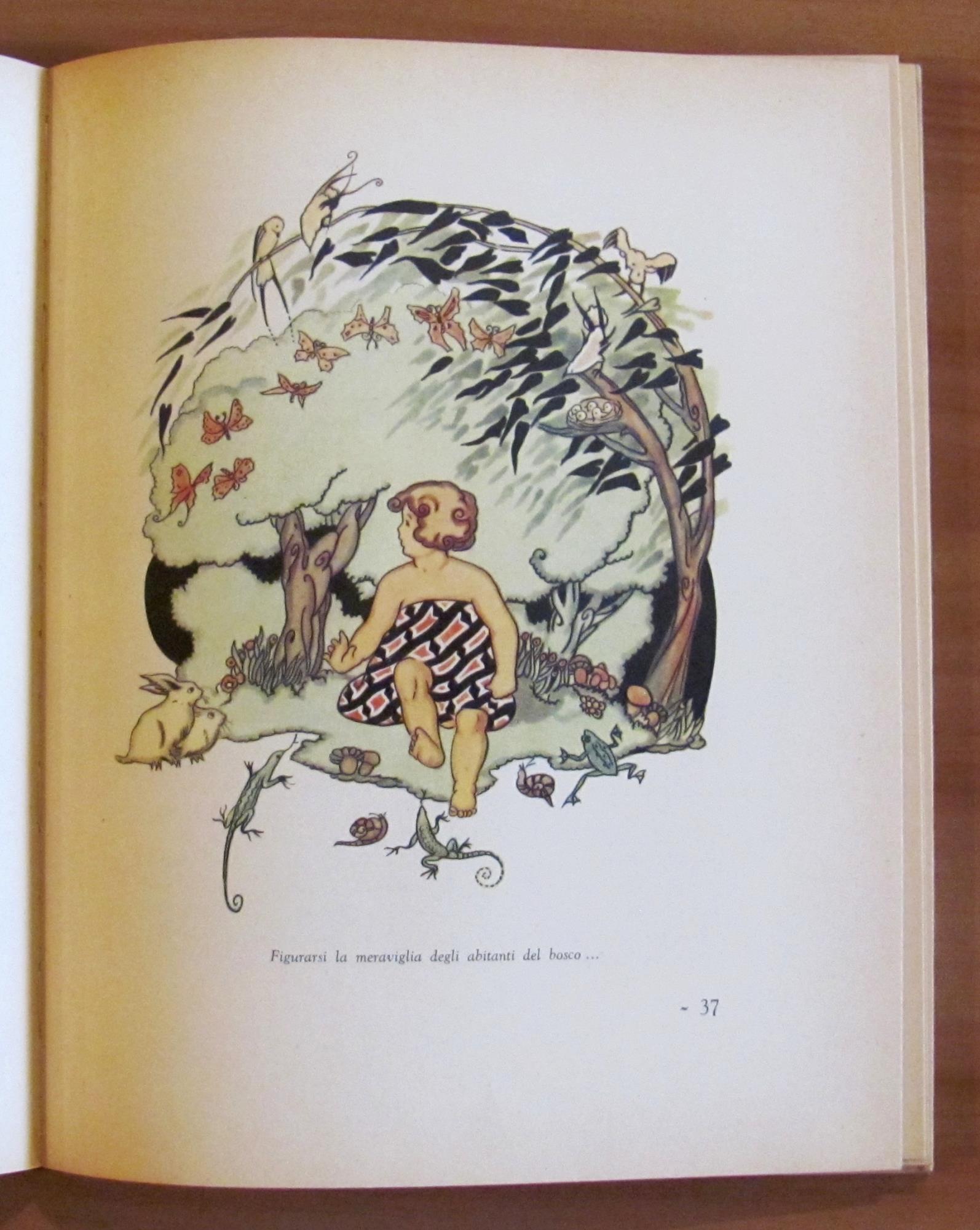 Il REUCCIO DEGLI UCCELLI Racconto Fiabesco - ill. Bevilacqua