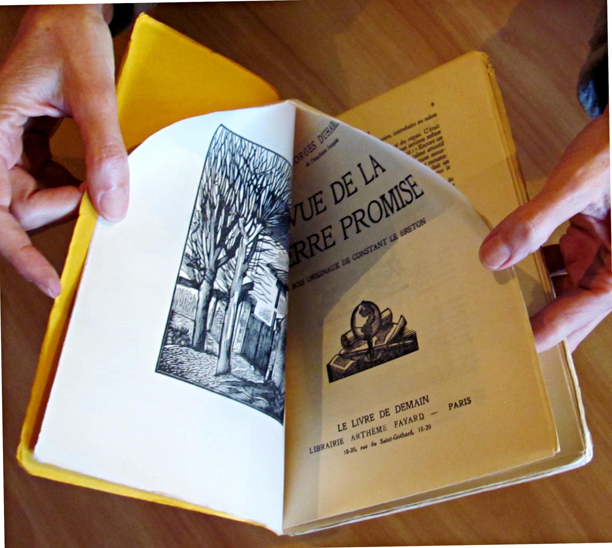 L'angolo del collezionista