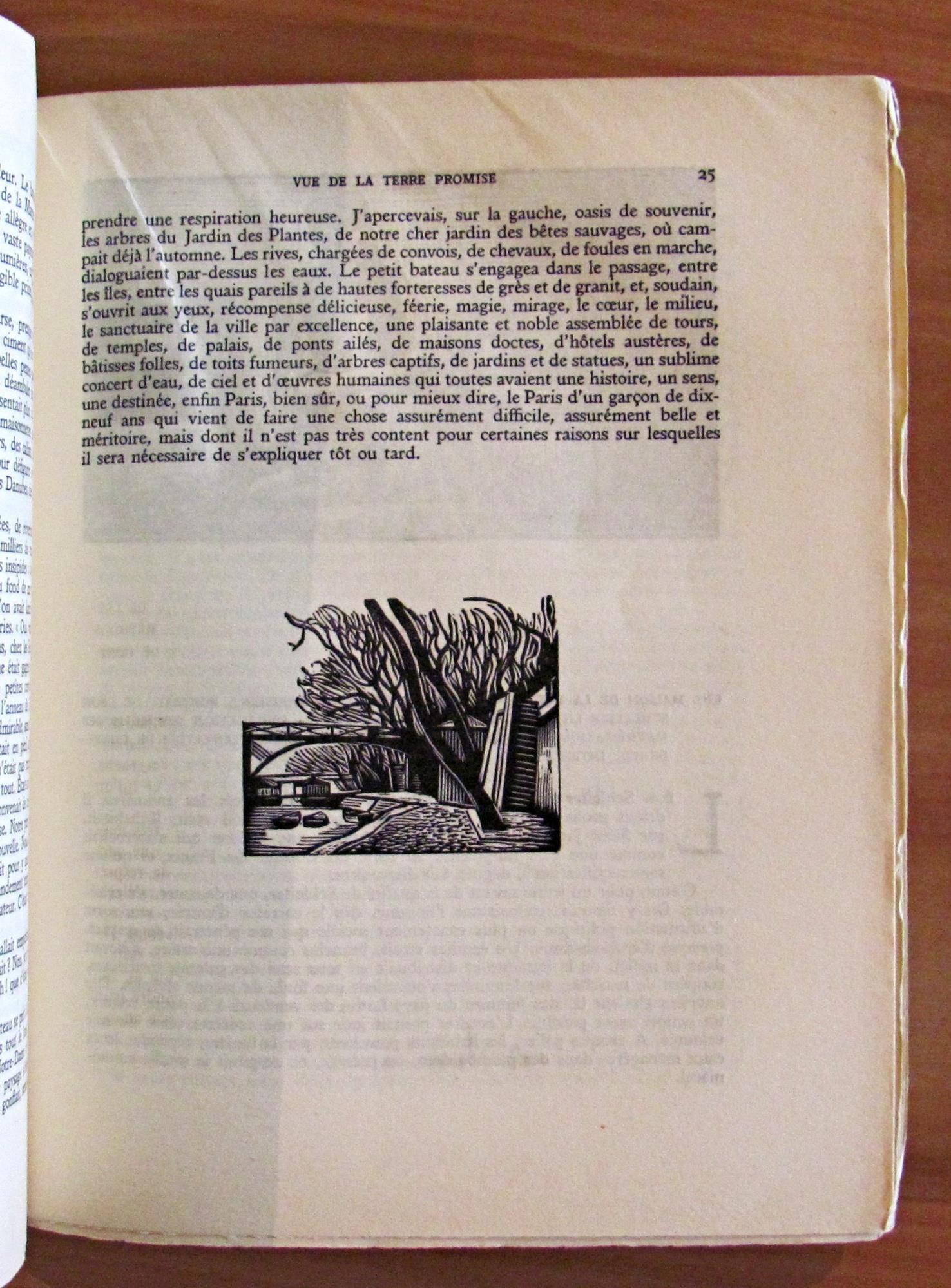 Vue De La Terre Promise