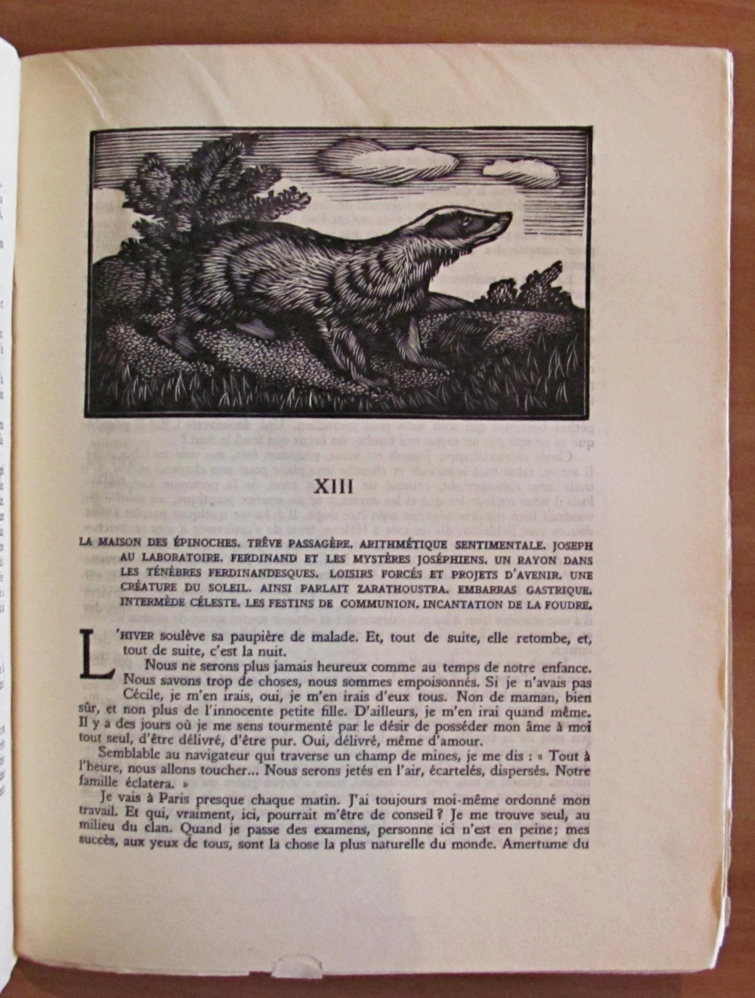 Vue De La Terre Promise