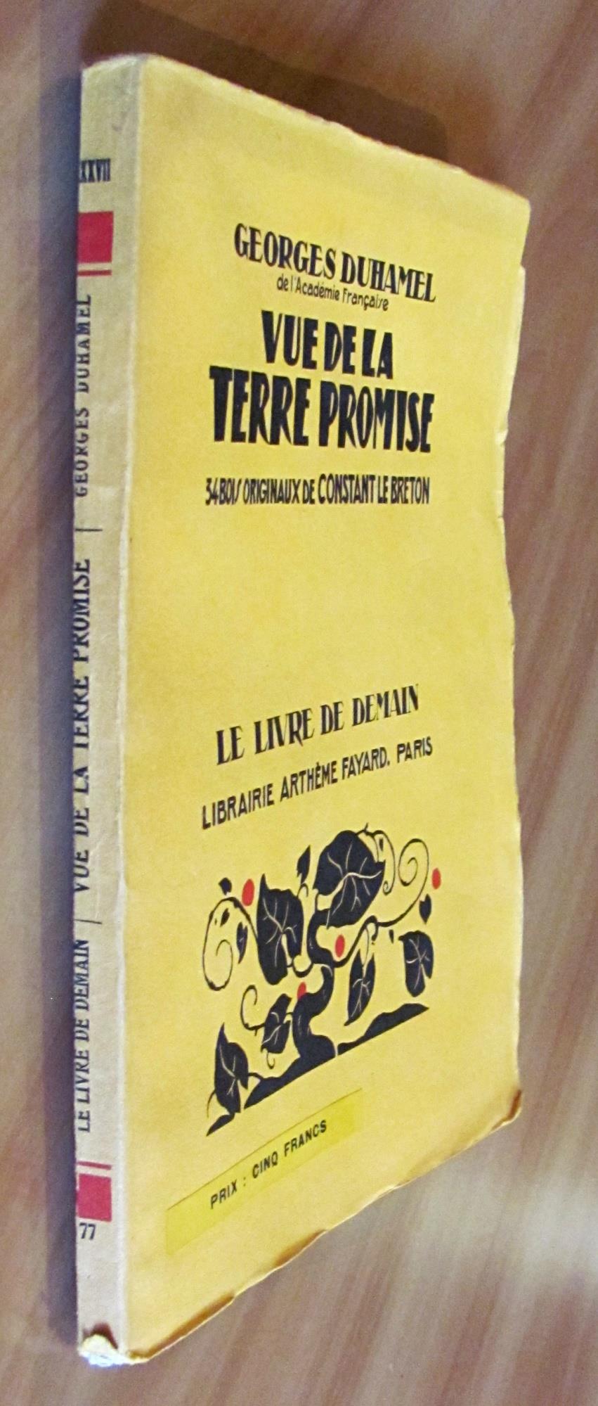 Vue De La Terre Promise