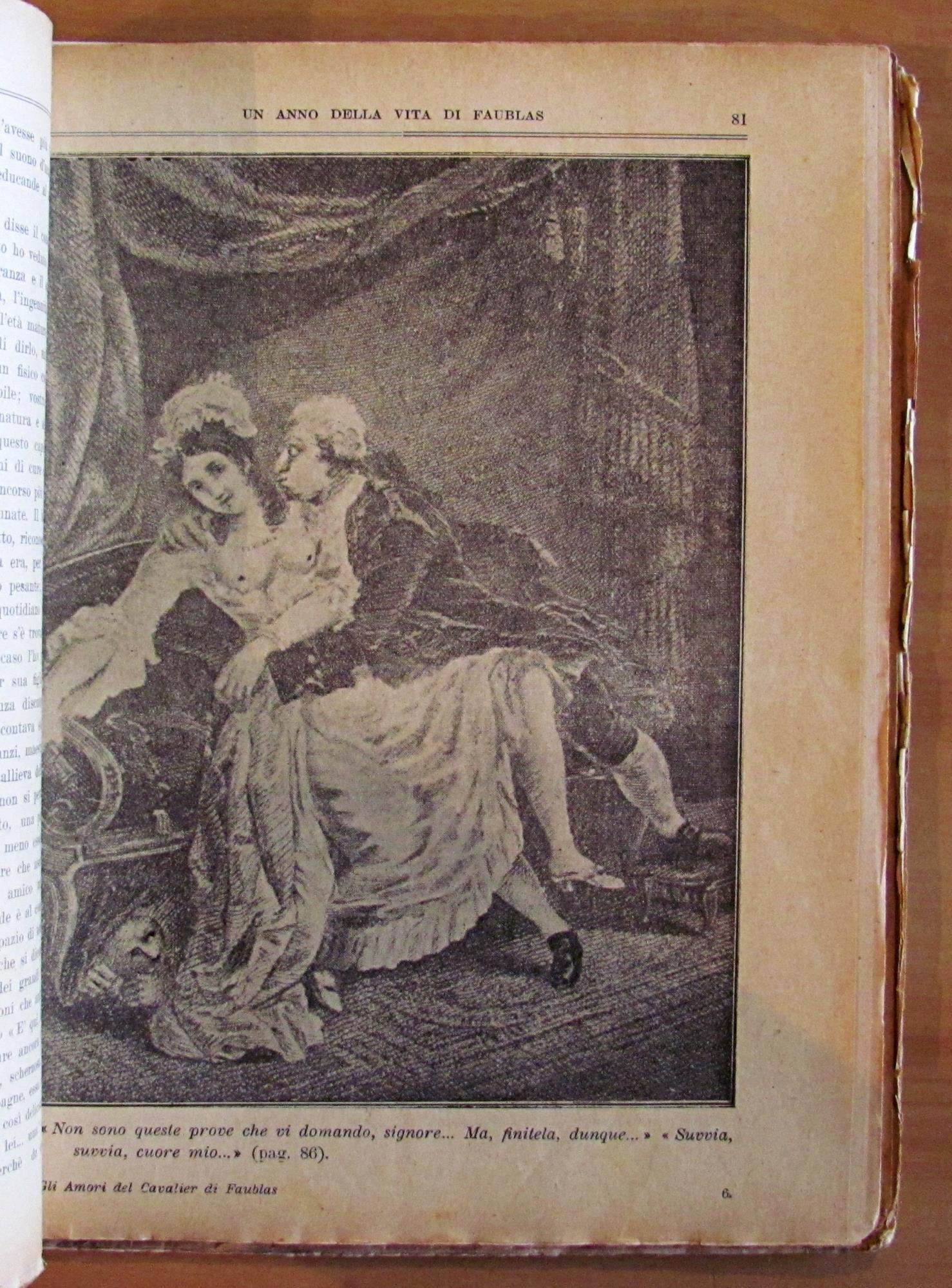 GLI AMORI DEL CAVALIER DI FAUBLAS - Un anno nella vita du Faublas - Collana STORIE D'AMORE ILLUSTRATE