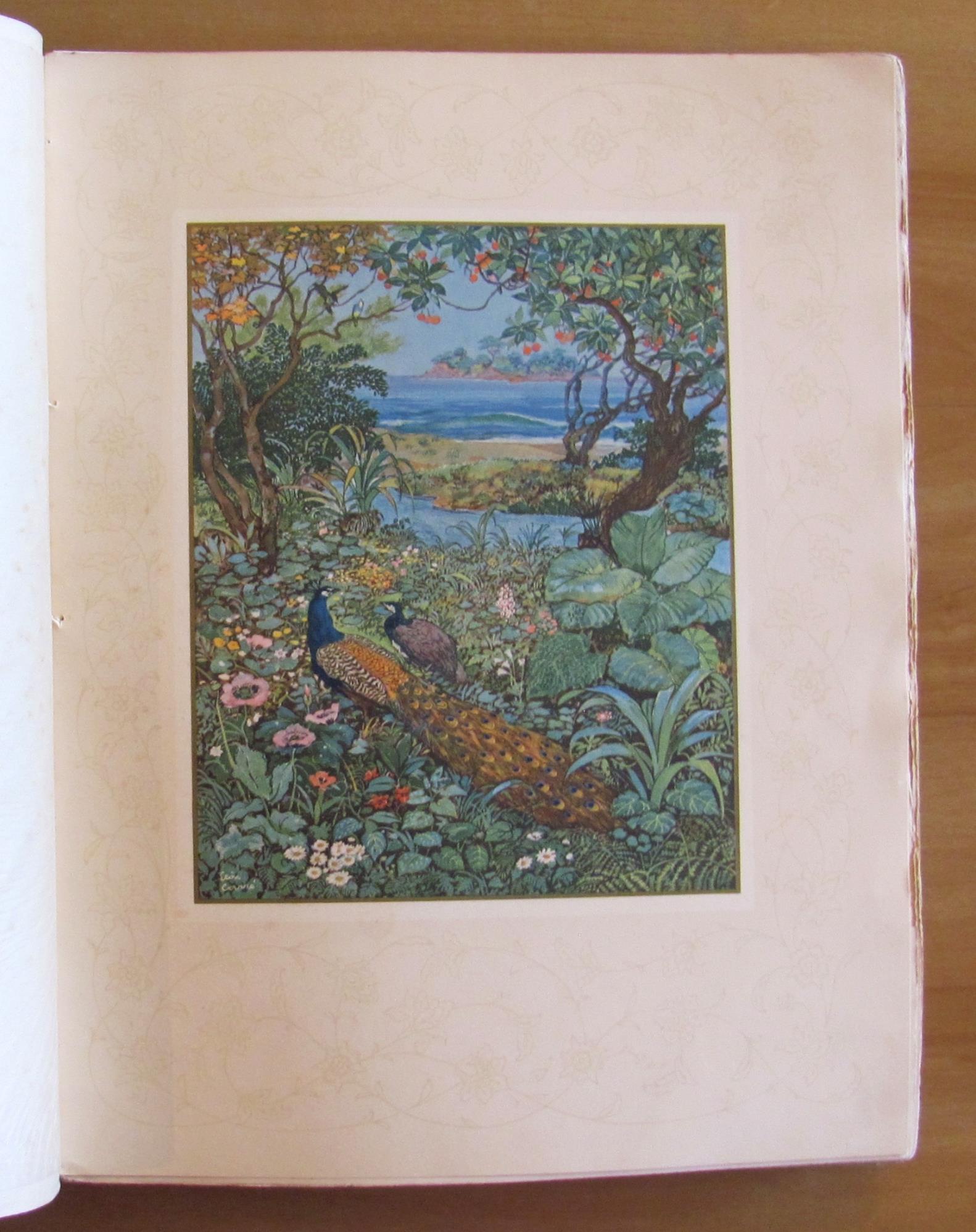 L'angolo del collezionista