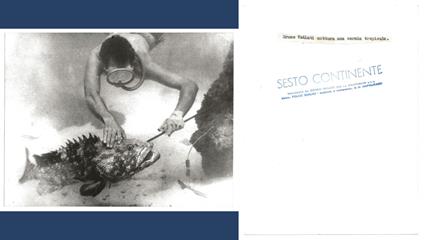 FOTO per SESTO CONTINENTE - Bruno VAILATI cattura Cernia tropicale con Timbri - copertina