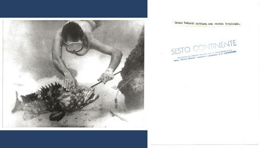 FOTO per SESTO CONTINENTE - Bruno VAILATI cattura Cernia tropicale con Timbri - copertina