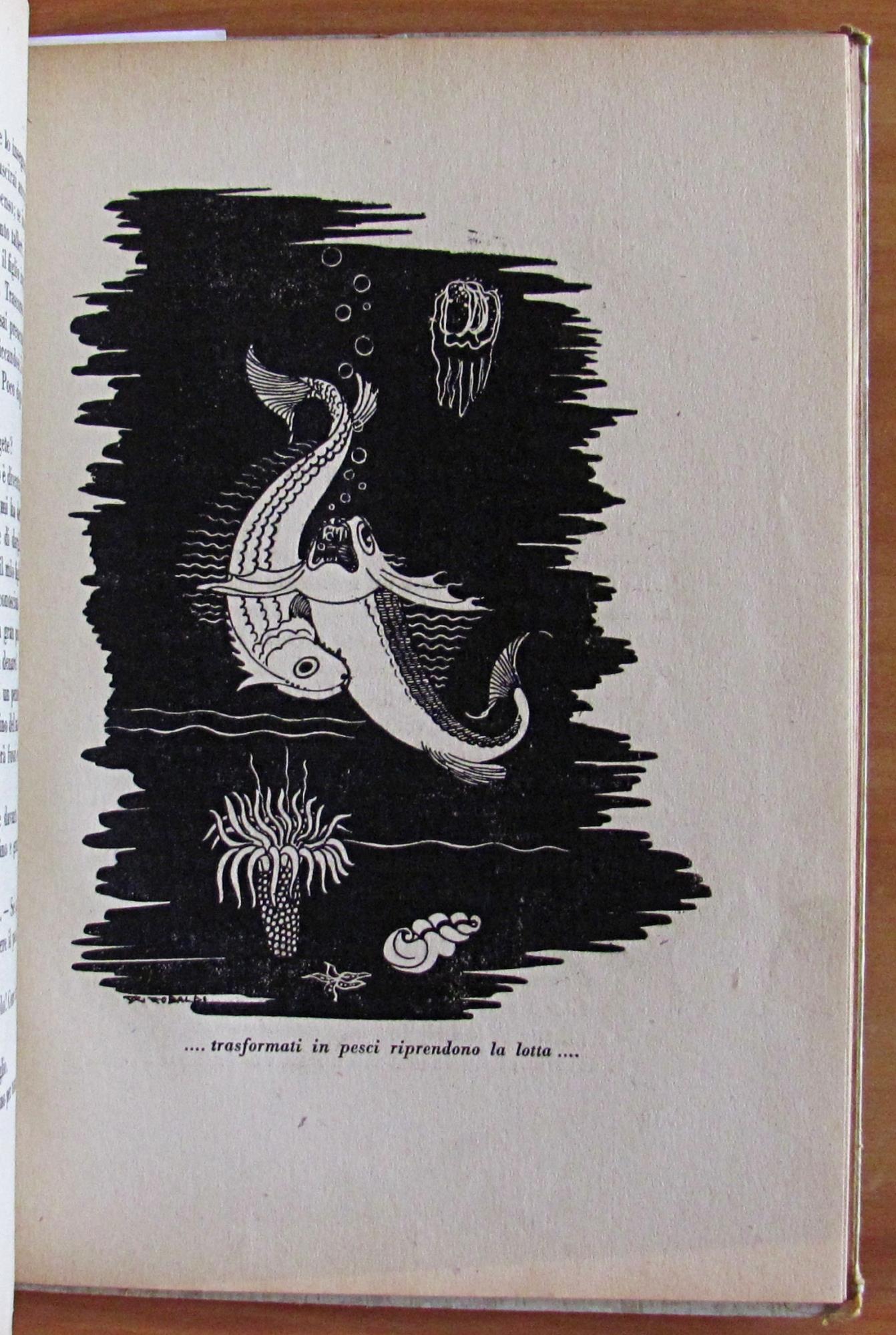 IL TAMBURINO E ALTRE FIABE - ill. RICCOBALDI