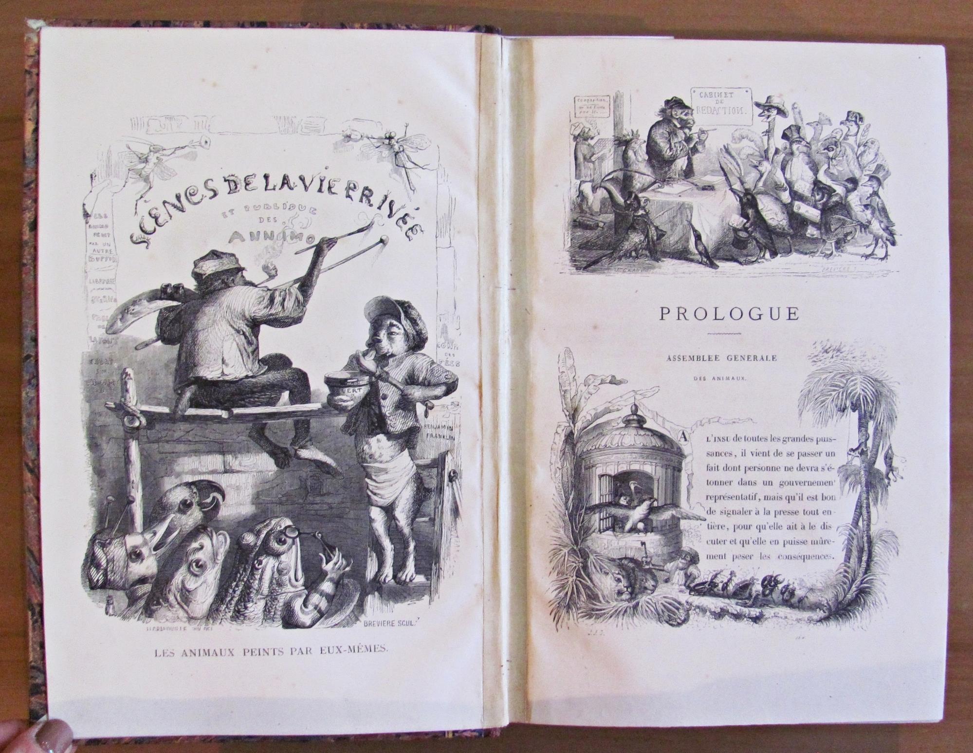 L'angolo del collezionista