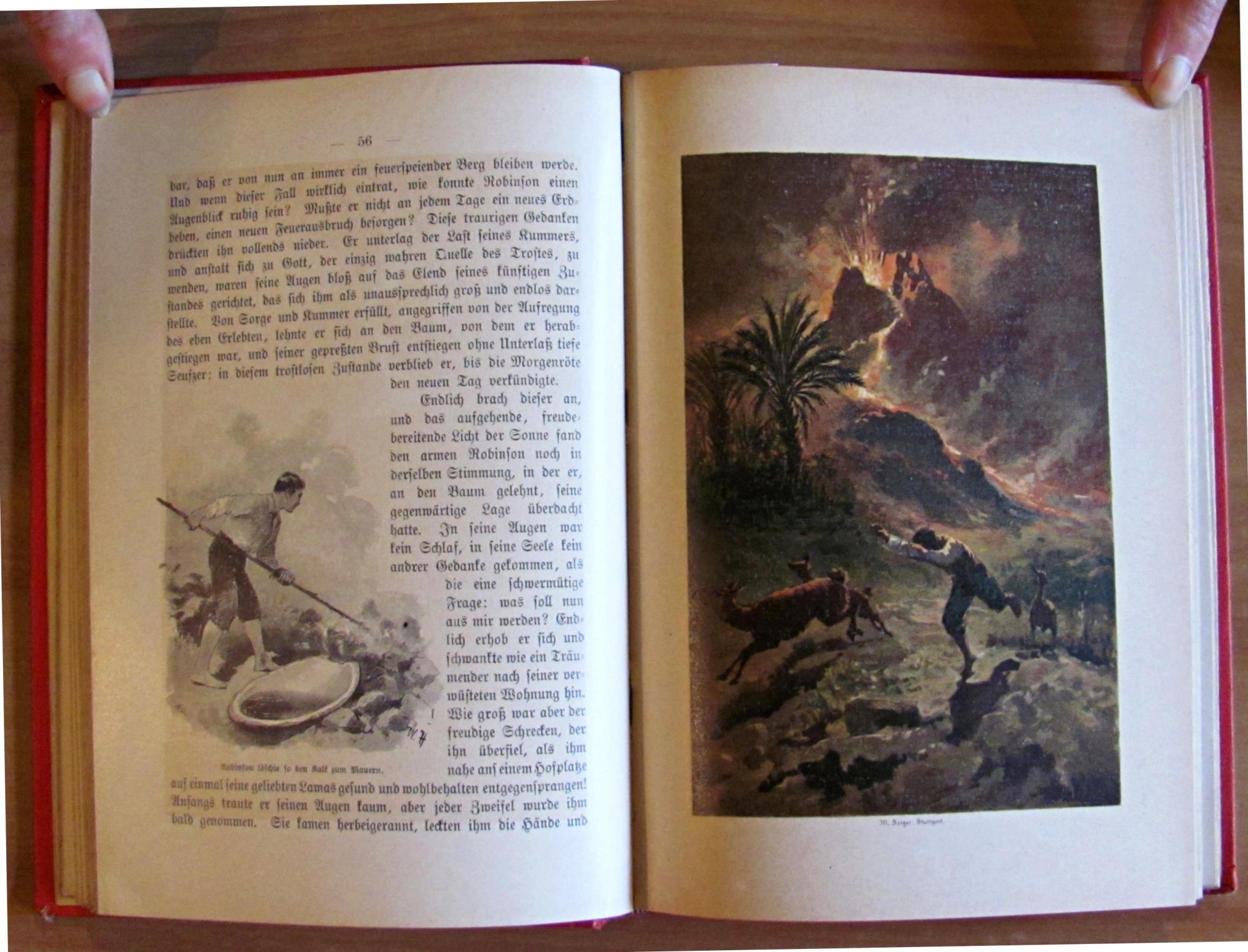 ROBINSON KRUSOE, fine '800 - ill. HOFFMANN