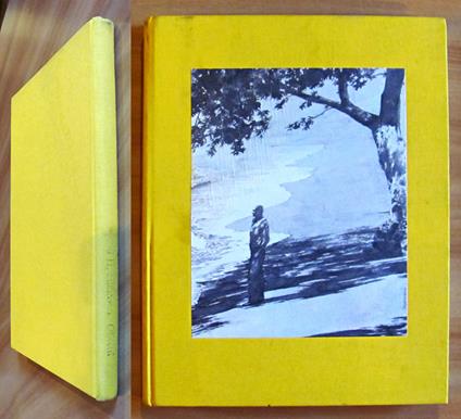 IL GRANDE GATSBY, 1995 - ill. HILLMANN - Francis Scott Fitzgerald - copertina