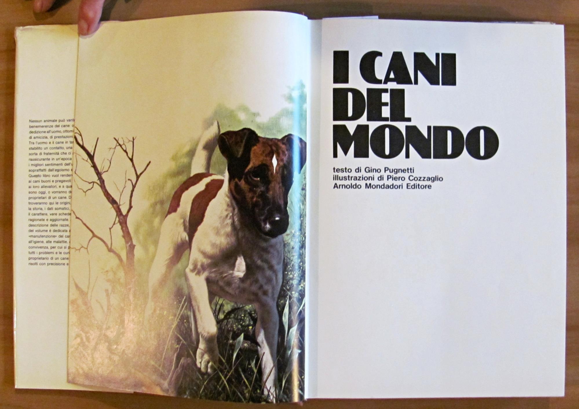 L'angolo del collezionista