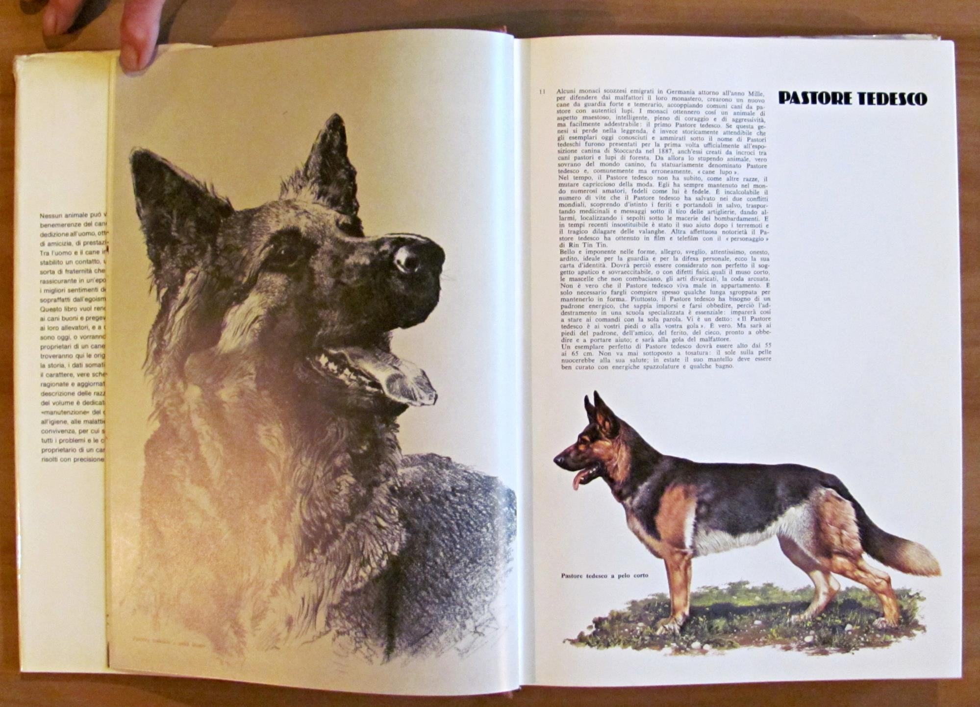 I CANI DEL MONDO, 1977 - ill. COZZAGLIO