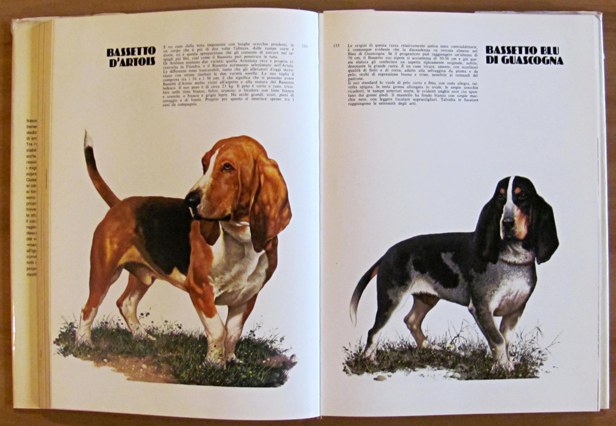 I CANI DEL MONDO, 1977 - ill. COZZAGLIO