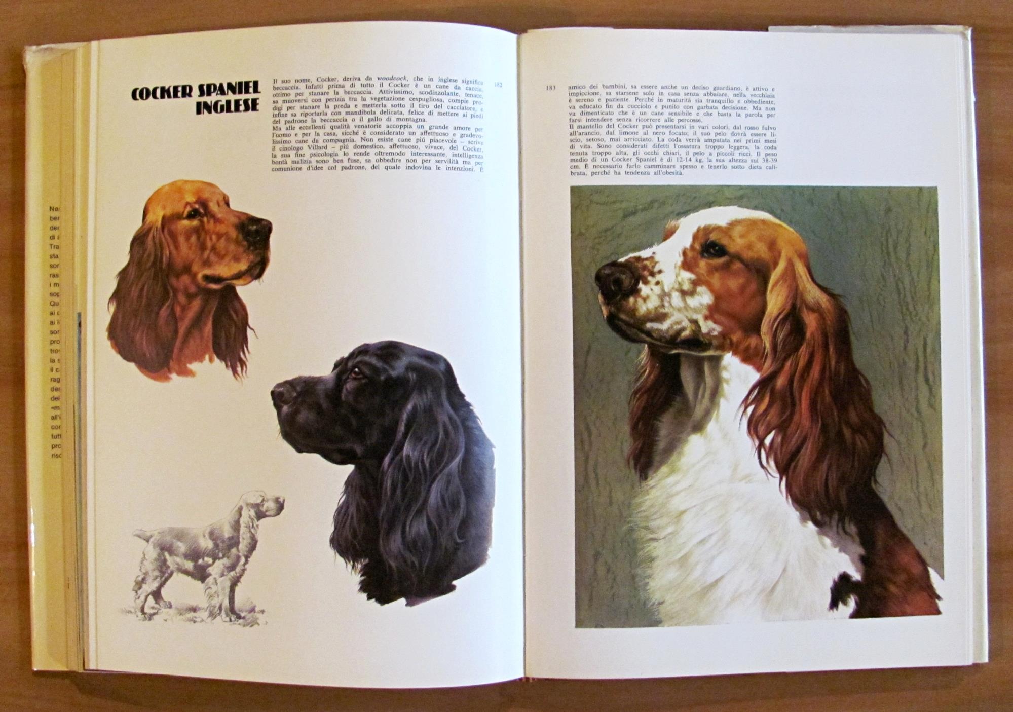 I CANI DEL MONDO, 1977 - ill. COZZAGLIO